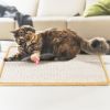 Cat Scratching Mat Natural Sisal Anti-Slip Mat Horizontal Cat Floor Scratching Pad Rug Kitten Play Toys Protect Carpets Sofas Furniture